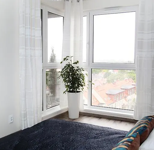 Livin Santocka Szczecin